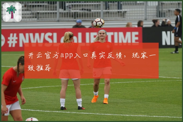 开云官方app入口真实反馈，玩家一致推荐