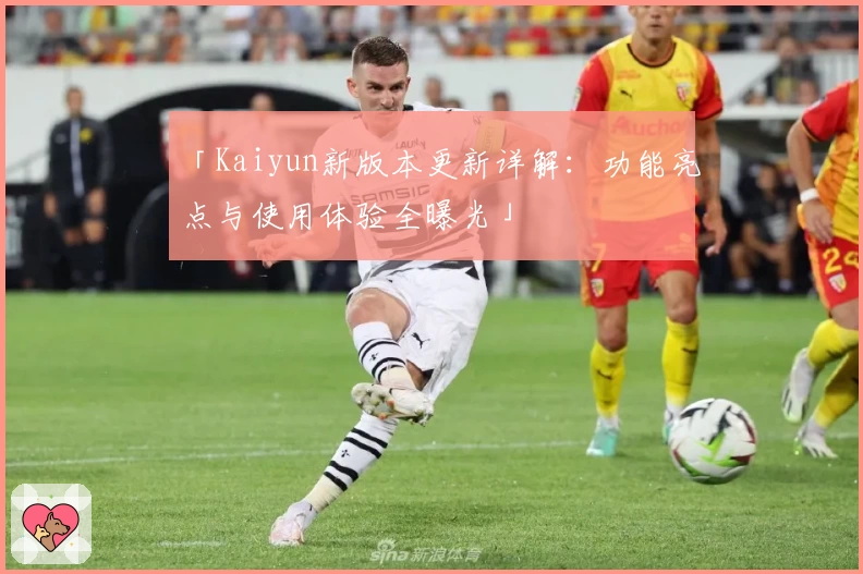 「Kaiyun新版本更新详解：功能亮点与使用体验全曝光」
